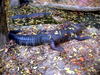 DSCN5751.jpg