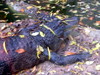 DSCN5753.jpg