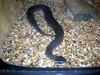 DSCN5755.jpg