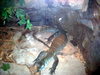 DSCN5758.jpg