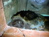 DSCN5759.jpg