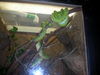 DSCN5760.jpg