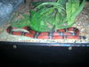 DSCN5761.jpg