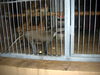 DSCN5765.jpg