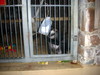 DSCN5767.jpg