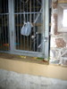 DSCN5768.jpg