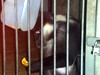 DSCN5769.jpg