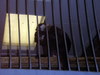 DSCN5770.jpg