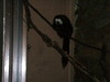 DSCN5771.jpg