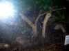 DSCN5772.jpg