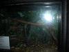 DSCN5773.jpg