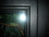 DSCN5774.jpg