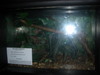 DSCN5775.jpg
