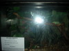 DSCN5776.jpg