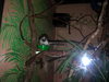 DSCN5777.jpg