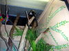 DSCN5778.jpg
