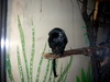 DSCN5779.jpg
