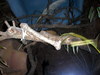 DSCN5780.jpg