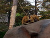 DSCN5781.jpg
