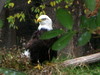 DSCN5782.jpg