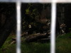 DSCN5783.jpg