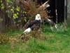 DSCN5784.jpg