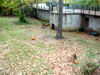DSCN5786.jpg