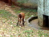 DSCN5787.jpg