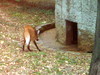DSCN5788.jpg