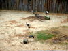 DSCN5789.jpg
