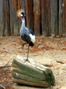 DSCN5791.jpg
