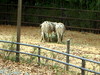 DSCN5792.jpg