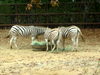 DSCN5793.jpg
