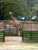 DSCN5794.jpg