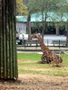 DSCN5795.jpg
