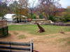 DSCN5796.jpg