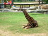 DSCN5797.jpg