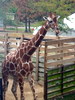 DSCN5798.jpg