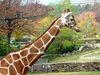 DSCN5799.jpg