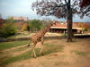DSCN5800.jpg