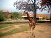 DSCN5801.jpg