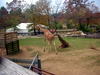 DSCN5802.jpg