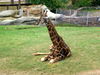 DSCN5803.jpg