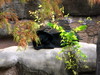 DSCN5805.jpg
