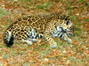 DSCN5806.jpg