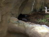 DSCN5808.jpg