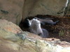 DSCN5809.jpg