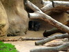 DSCN5811.jpg