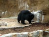 DSCN5814.jpg