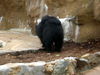 DSCN5815.jpg